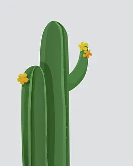 Ornamental Plant Design Impressions: Vector background with blooming cactus