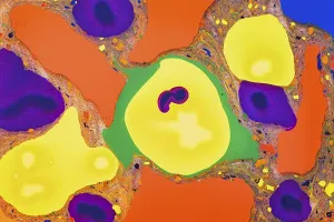 Close Up Artwork Impressions: A vibrant array of mixed colors