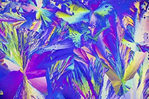 Geometric Shapes Impressions: A vibrant microcrystals under the microscope