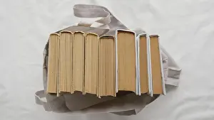 Deserted Library Scene Impressions: Top view books stack bag