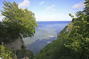 Chalk Cliffs Germany Impressions: View onto the chalk cliffs with beech forest