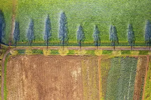 Top Down View From Drone Impressions: Top Down view from a drone over Fields