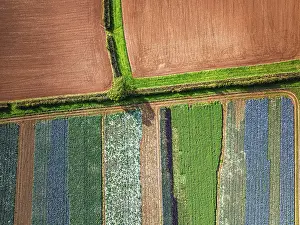 View From Above Devon England Impressions: Top down view over fields from a drone