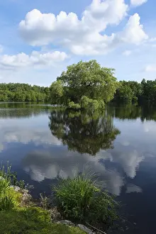 Lake Reflection Photography Impressions: View over a forest lake, reflection