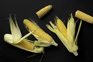 High Quality Photo Impressions: Top view fresh corn composition