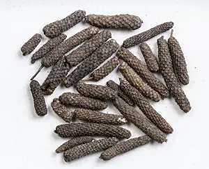 Indonesian Cuisine Impressions: Top view of java long pepper close up on gray ceramic plate