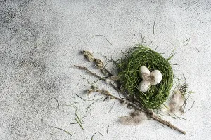 Easter Setting Impressions: Top view of a rustic Easter setting featuring a nest made of fresh green grass