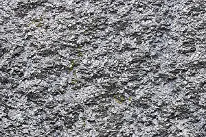 Central Europe Deserted Landscape Impressions: View of a slate dump, Eastern Eifel