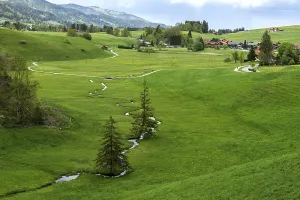 Small Stream Germany Impressions: View of small stream and meadows