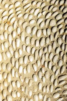 Grunge Background Image Impressions: Wall surface as a simple grunge background texture pattern