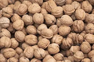 Walnut Photography Impressions: Walnuts