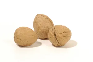 Close Up Walnuts Impressions: Walnuts