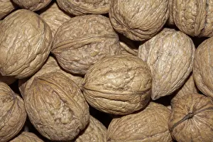 Walnut Background Impressions: Walnuts