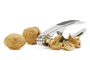 Healthy Breakfast Meal Ideas Impressions: Walnuts with cracker on the white