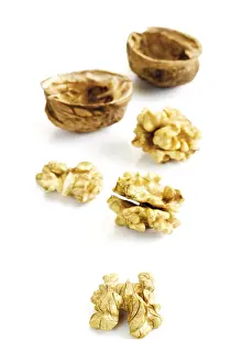 Walnut Photography Impressions: Walnuts and shells