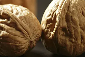 Deserted Walnut Scene Impressions: Three walnuts with shells over black background and shadows