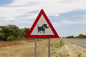 Impressions de Avertissement de signalisation Prudence porcs-épics, Namibie Phacochère Impressions: Avertissement de signe Attention aux phacochères, Namibie.