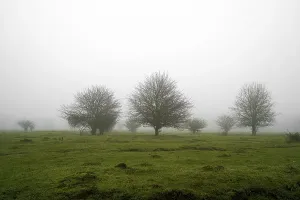 Barren Terrain Impressions: Wei