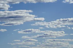 White Clouds In Blue Sky Impressions: White clouds float in the blue sky backdrop