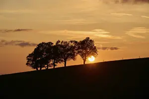 Deserted German Landscape Photography Impressions: Wind beeches at sunset in spring