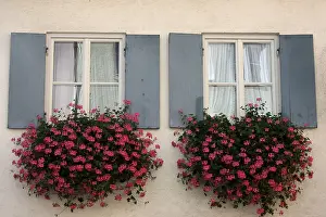 Flower Box Window Decoration Impressions: Windows with flower boxes