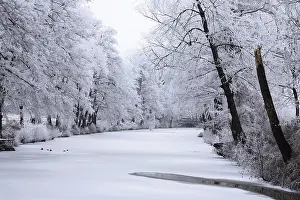 German Countryside Winter Time Impressions: Winter