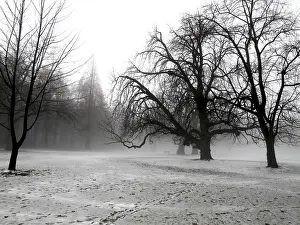 Deserted Winter Landscapes Impressions: Winter