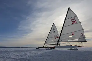 Dummer See Germany Impressions: Winter at Dummer See with