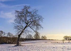 Winter Landscape Berlin Impressions: Winter landscape, fields and fields in Berlin Lubars