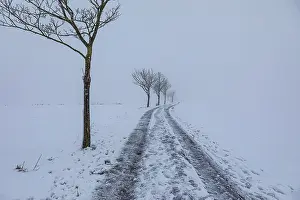 German Countryside Scenery Impressions: Wintry landscape at diffuse light in Germany