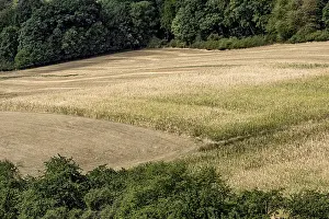 Climate Change Effects Impressions: Withered maize fields, fields, meadows
