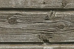 Wood Pattern Design Impressions: Wood structure