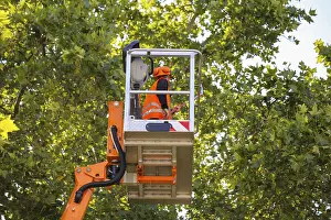 Construction Equipment Impressions: Workers on the work platform pruning or maintaining trees