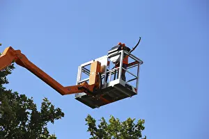 Tree Pruning Impressions: Workers on the work platform pruning or maintaining trees