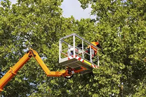 Tree Pruning Impressions: Workers on the work platform pruning or maintaining trees