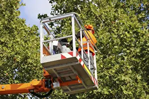 City Park Care Impressions: Workers on the work platform pruning or maintaining trees