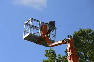 Tree Pruning Impressions: Workers on the work platform pruning or maintaining trees