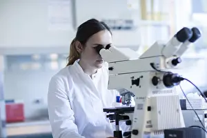 Laboratory Examination Process Impressions: Young laboratory assistant with microscope and sample working in a laboratory with light microscope
