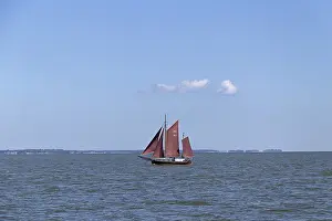 Wustrow Saaler Bodden Impressions: Zeesboot Regatta, Wustrow, Saaler Bodden