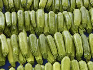 Vegetable Shop Impressions: Zucchini