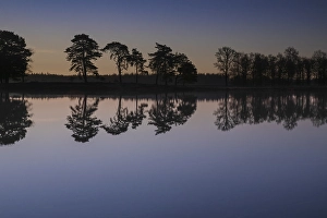 Dutch Winter Landscape Impressions: Appelscha