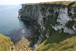 Seabird Colony Impressions: Bempton Cliffs