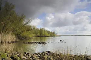 Netherlands Landscape Photography Impressions: Biesbosch