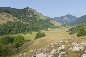 European Landscapes Nature Impressions: Campolongo