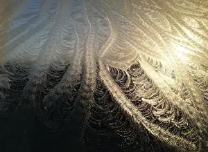 Frosty Winter Scene Impressions: Frost on window