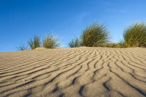 Les motifs de sable.