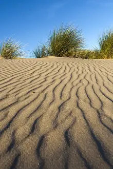 Les modèles de sable.