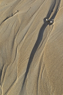 Images datées du 9 décembre 2018: Motif de sable.