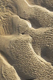 Wadden Sea Nature Reserve Impressions: Sand pattern