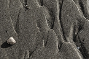 Low Tide North Sea Coast Impressions: Sand pattern